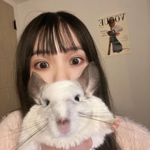 提供capcut教学服務的專家🏆【剪輯師】JW🌹