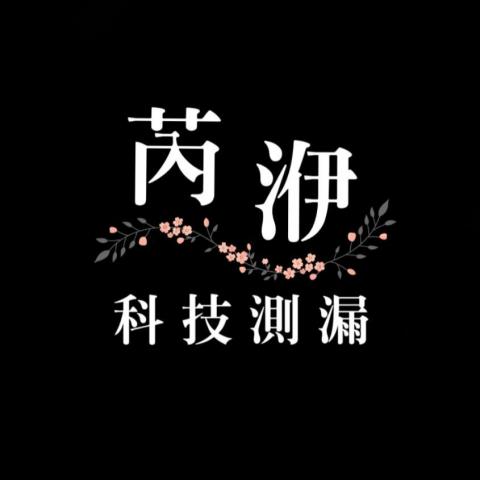 芮洢科技測漏