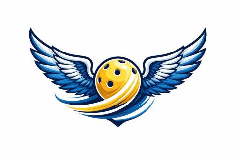 提供羽球教學服務的專家早鳥匹克球