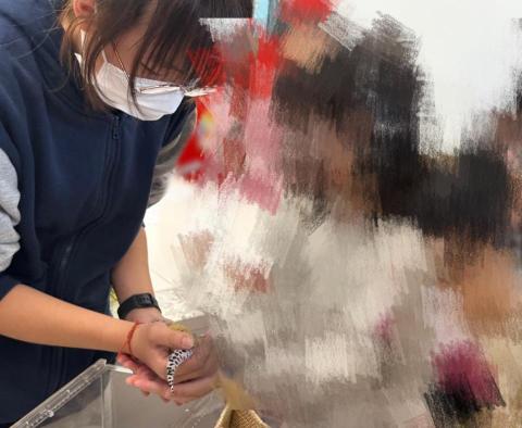 李品潁 - 冬令營教導小孩認識爬蟲動物，並讓孩子互動體驗