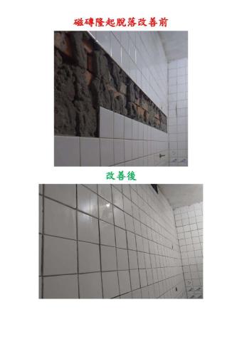 龍哥工程行- - 磁磚隆起脫落改善