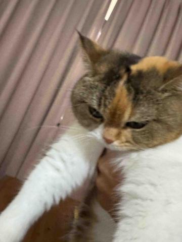 淨匠出手 - 洗冷氣買罐罐～～