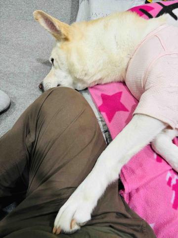 瑪妮麻麻 - 到府照顧