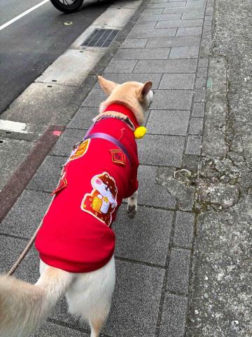 瑪妮麻麻 - 牽繩散步