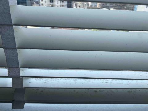 小葉清潔-清潔細清 - 清潔百葉窗前