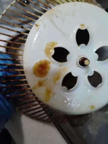 曾珞婷 - 廚房油網清潔前