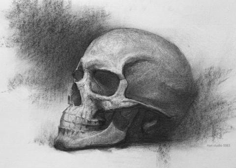 Han studio  邱柏翰 - 畫素描時會遇到：
明暗有上，但畫面還是扁的

通常問題不是不夠細，其實是沒有先整理好大形與明度關係

如果你也想把素描畫得更穩、更有立體感，
歡迎私訊詢問課程內容