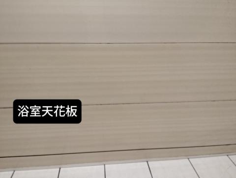 曾珞婷 - 天花板黴菌清潔後