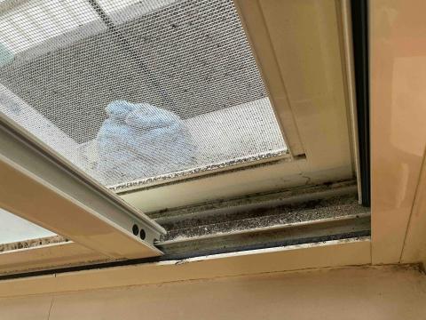 小葉清潔-清潔細清 - 清潔窗槽跟紗窗前