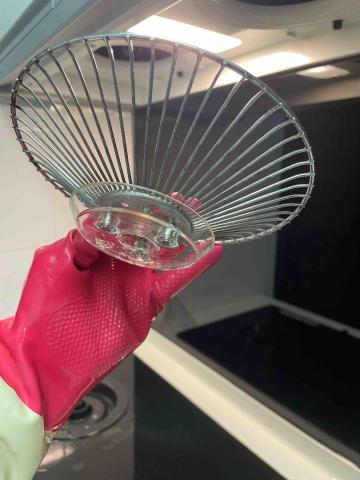 鄭宇辰 - 清潔後