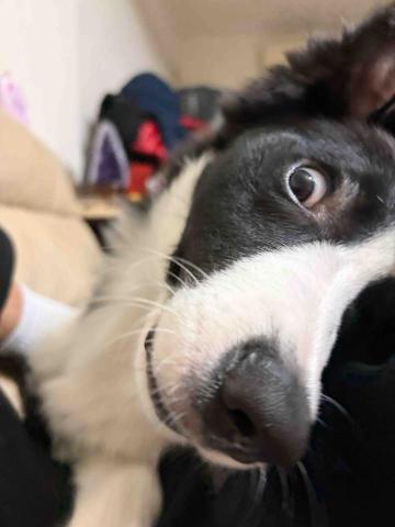 提供新竹物流客服服務的專家黃琮斐