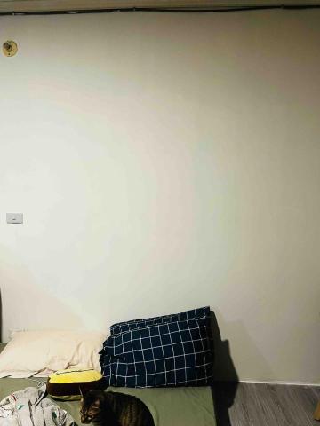 陳俊嘉 - 牆面油漆