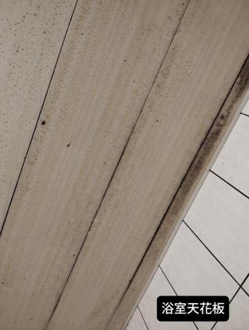 曾珞婷 - 浴室天花板霉菌清潔前
