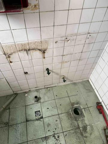 徐 Yujia - 馬桶及洗臉盤拆除