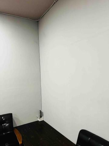 陳俊嘉 - 牆面油漆