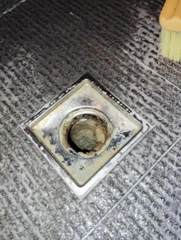 曾珞婷 - 浴室排水孔清潔前