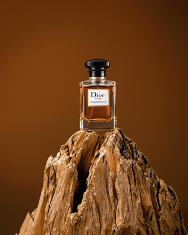 FpVisualAi - 畫面中央，一瓶 Dior 迪奧 Pelural Parfum 香水穩穩地置於一座粗獷、層層堆疊的枯木頂端。香水瓶為經典方正玻璃瓶身，內裝琥珀色的金黃液體，在暖光下散發出深沉而奢華的光澤。瓶蓋為黑色圓頂設計，搭配金色頸環，優雅而低調。