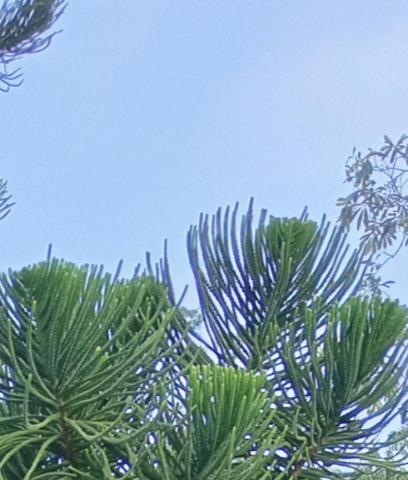 六龜法律文件翻譯專家推薦洋提墨翻譯社