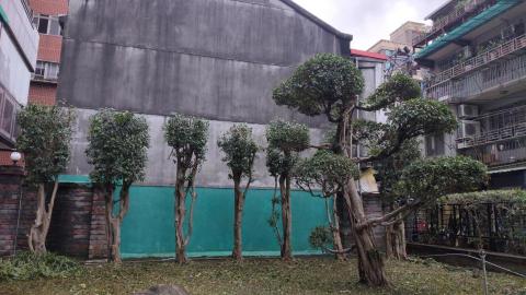 吉欣園藝 - 樹木修剪