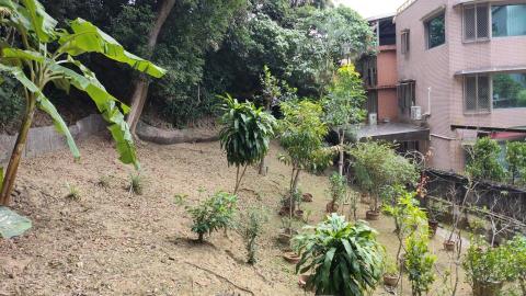 吉欣園藝 - 果園除草整裡