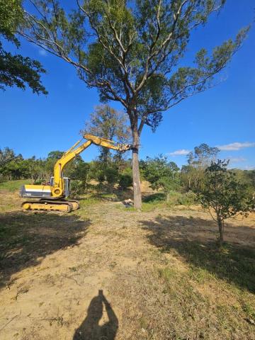 財溢鑫開發工程 陳先生 - 大面積＆大型樹木砍伐