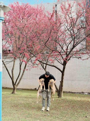 提供行情價服務的專家麒鴻小客車租賃有限公司