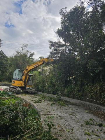 財溢鑫開發工程 陳先生 - 修剪樹木