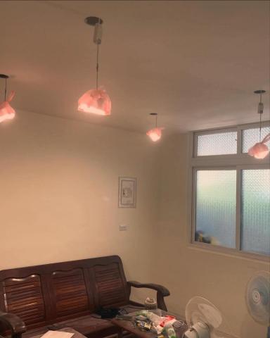 虎山有限公司 - 