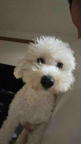 提供包包背帶修理服務的專家阿綱冷氣保養維修安裝