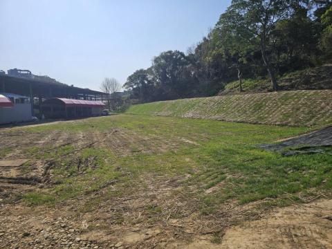 財溢鑫開發工程 陳先生 - 植生草坪工程