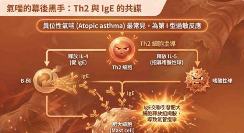 想解 - 上課講義