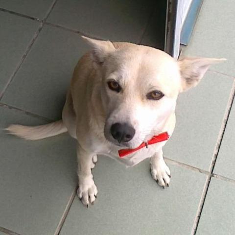 提供黏土模具服務的專家Eric Chou