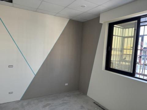 吳鴻鑫 - 特殊色油漆