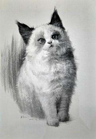 楊詠心 - 8K，炭筆，寵物素描