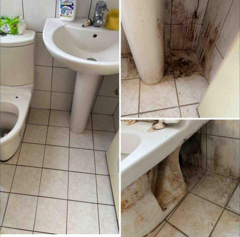 沐光職人清潔 - 衛浴清潔二