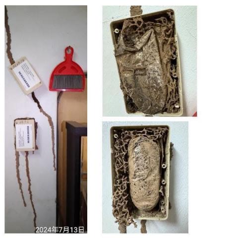 斯巴達病媒防治有限公司 - 白蟻餌站安裝