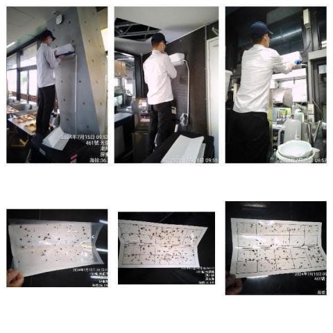 斯巴達病媒防治有限公司 - 捕蟲燈