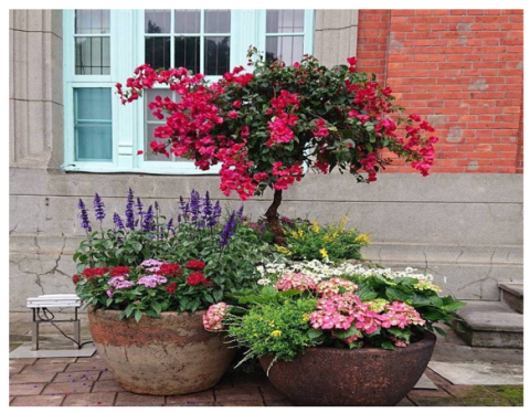 新大谷庭園景觀 - 花壇養護