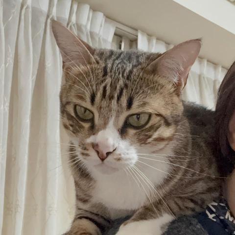 提供孫盛希服務的專家黃宇希