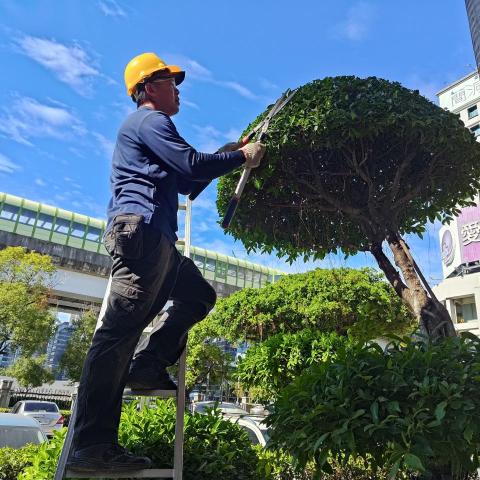 提供割草刀服務的專家邱敬倫