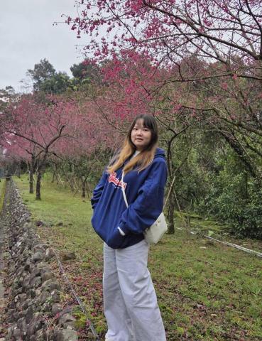 提供gemini比較服務的專家傅筱芸