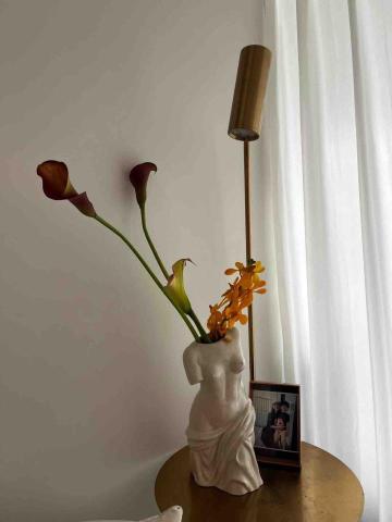 小坪數（租屋）軟裝陪跑顧問 - 