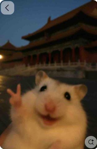 提供173司機服務的專家紘