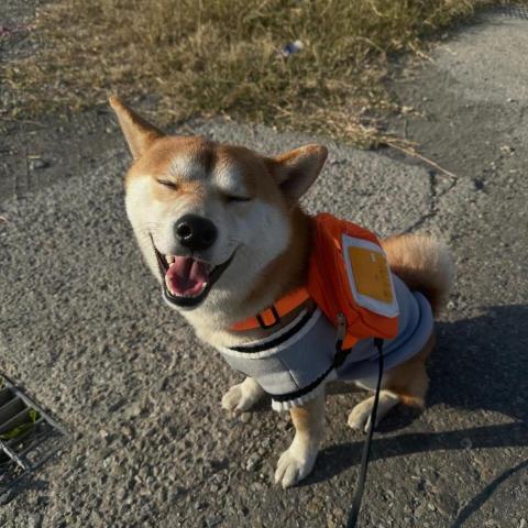 提供電氣管線安全檢測服務的專家黃瑞琦