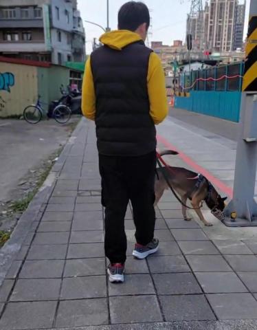 汐止寵物散步人員推薦叁壹