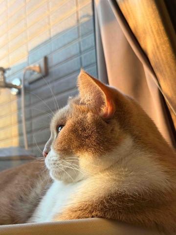 唐翊庭專業冷氣清洗 - 店長！