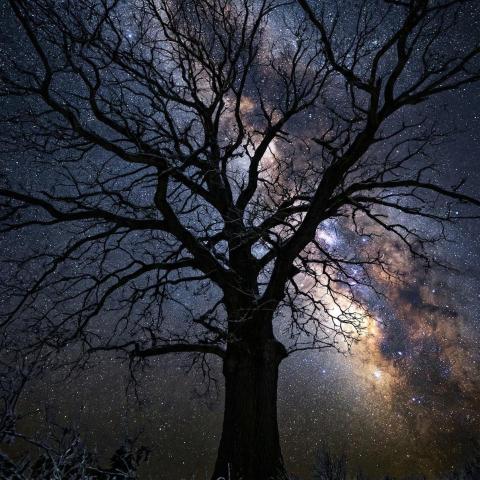 提供75吋壁掛服務的專家羽翔