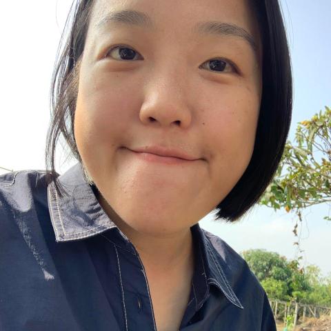 提供cis是什麼服務的專家陳盈庭