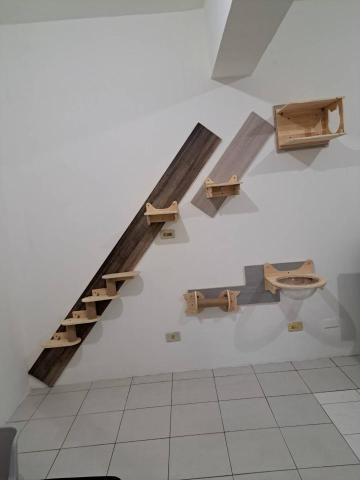 董群恒 - 貓跳台