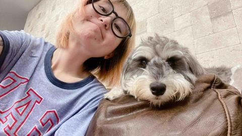 提供代養狗服務的專家臨時小幫手